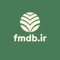 اف ام دی بی